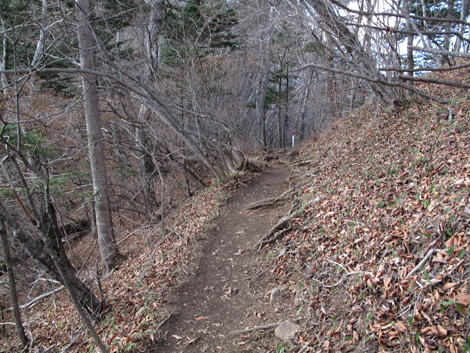 20171128hike (108)